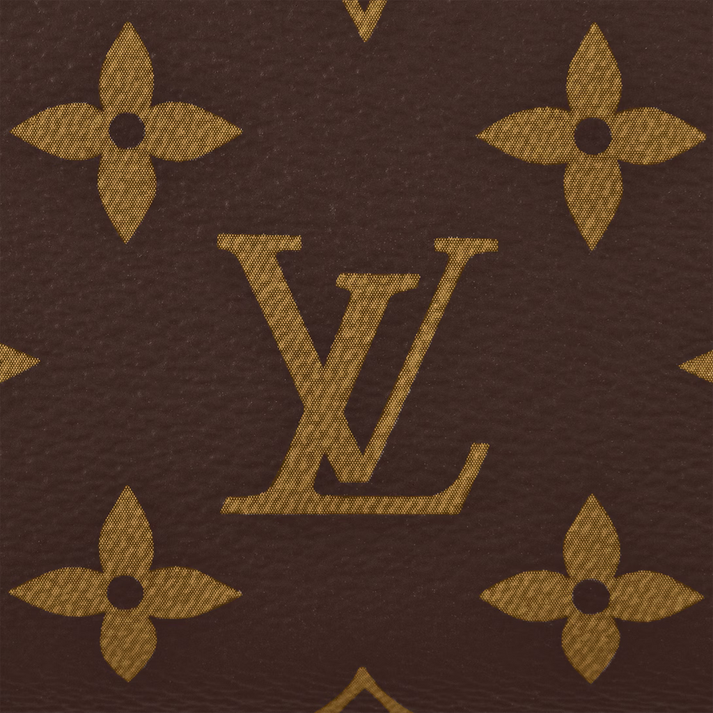 LV Speedy 20 Bag